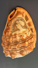 Camee schelp. Enkele gebruikssporen aan de binnenkant., Ophalen of Verzenden