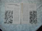 Wonderbaarlijke fossielen. 1939., Verzamelen, Tijdschriften, Kranten en Knipsels, Ophalen of Verzenden, 1920 tot 1940, Nederland
