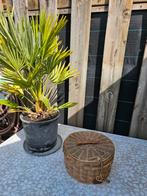 RIVIERA MAISON; RONDE RATTAN OPBERGDOOS € 20,-, Ophalen, Zo goed als nieuw