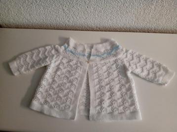 EEN PRACHTIG BABYVESTJE  beschikbaar voor biedingen