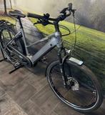 Falter E 6.0 500 – Nieuwe Elektrische fiets met Bosch Motor, Overige merken, Nieuw, Ophalen of Verzenden, 50 km per accu of meer
