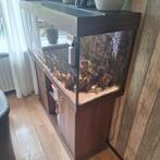 Mooie aquarium Juwel 180, Dieren en Toebehoren, Vissen | Aquaria en Toebehoren, Ophalen of Verzenden, Zo goed als nieuw, Gevuld zoetwateraquarium