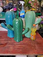 Seras cactus vazen, Huis en Inrichting, Overige kleuren, Ophalen of Verzenden, Minder dan 50 cm, Glas