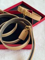 Perro Collection halsband en riem (leer) voor o.a. Chihuahua, Ophalen of Verzenden, Zo goed als nieuw