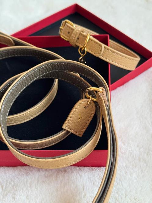 Perro Collection halsband en riem (leer) voor o.a. Chihuahua, Dieren en Toebehoren, Hondenhalsbanden en Penningen, Zo goed als nieuw