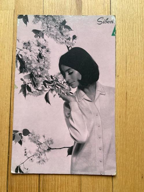 Sibon Oud kartonnen reclame bord  Jaren ’60, ‘70, Verzamelen, Merken en Reclamevoorwerpen, Gebruikt, Reclamebord, Ophalen of Verzenden