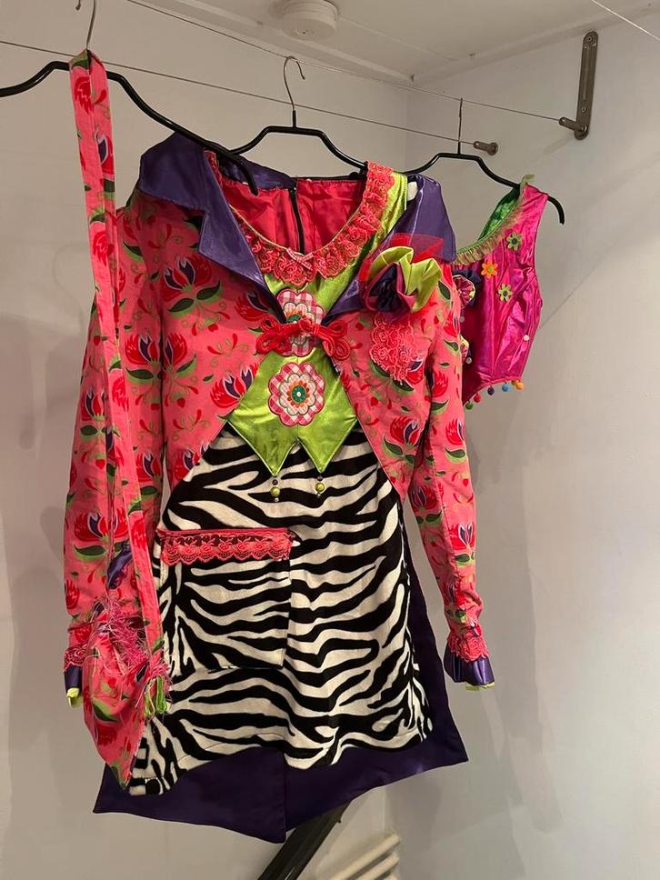 Zebrajurkje, giletjes en overjas carnaval, Kleding | Dames, Jasjes, Kostuums en Pakken, Zo goed als nieuw, Maat 36 (S), Ophalen of Verzenden