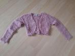 Roze VEST Maat 116 / 122, Ophalen of Verzenden, Zo goed als nieuw, Meisje, Trui of Vest