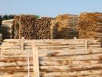 Schapenhek  Engels hekwerk  Kastanje hekwerk, Ophalen, Met poort, Nieuw, Ecofences