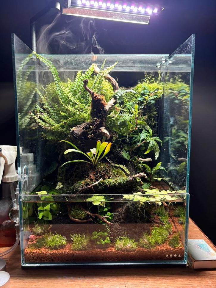 DOOA Terra 30, Dieren en Toebehoren, Vissen | Aquaria en Toebehoren, Gebruikt, Leeg aquarium, Ophalen