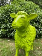 (Tuin)Beeld texel schaap, Groen, tuin, boerderij, vijver 65, Ophalen, Nieuw, Kunststof, Dierenbeeld
