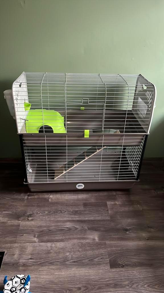 Knaagdier kooi, Dieren en Toebehoren, Knaagdieren en Konijnen | Hokken en Kooien, Zo goed als nieuw, Kooi, Minder dan 60 cm, 75 tot 110 cm