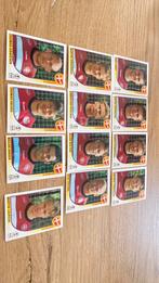 Panini wk 2002 Denemarken, Ophalen of Verzenden, Zo goed als nieuw, Buitenlandse clubs, Poster, Plaatje of Sticker