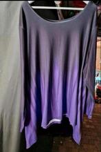 Paarse Tuniek Lange Mouw, Kleding | Dames, Blouses en Tunieken, Ophalen of Verzenden, Zo goed als nieuw, Maat 42/44 (L), Paars