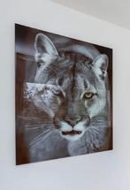 Grote glasplaat met afbeelding puma, Huis en Inrichting, Ophalen, Zo goed als nieuw, Schilderij, 75 tot 100 cm