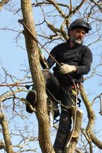 ✅️Boomverzorger., Diensten en Vakmensen, Tuinmannen en Stratenmakers