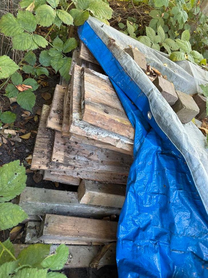 Gebruikt Schuttinghout - Diverse Afmetingen, Doe-het-zelf en Verbouw, Hout en Planken, Gebruikt, Plank, Overige houtsoorten, 300 cm of meer