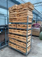 Fruit kratten houten kisten, Doe-het-zelf en Verbouw, Kratten en Dozen, Ophalen, 60 cm of meer, Zo goed als nieuw, 50 cm of meer