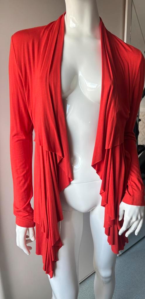 Heerlijk vest van Joseph Ribkoff maat 38, Kleding | Dames, Truien en Vesten, Zo goed als nieuw, Maat 38/40 (M), Oranje, Ophalen of Verzenden