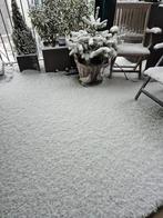 Nordmann pot gekweekt. Gratis, Tuin en Terras, Verzenden