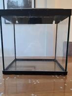 Vissen-aquarium 25L, Ophalen, Gebruikt, Gevuld zoetwateraquarium