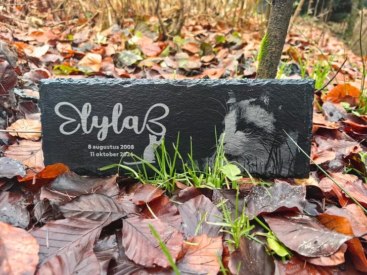 Grafsteen / Gedenksteen voor Huisdier - Persoonlijk Memorial, Dieren en Toebehoren, Overige Dieren, Meerdere dieren, Januari