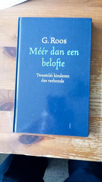 G. Roos - Meer dan een belofte beschikbaar voor biedingen