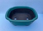 Bonsai schaal Turquoise geglazuurd Japans 23,5x18,8x8,3, Tuin en Terras, Bloempotten, Ophalen of Verzenden, Zo goed als nieuw