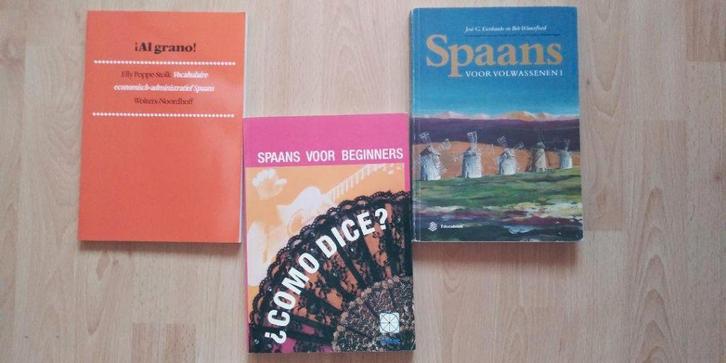 spaans volwassenen/Cómo dice/Al grano, Boeken, Taal | Spaans, Zo goed als nieuw, Ophalen of Verzenden