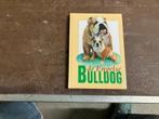 engelse bulldog, Ophalen, Zo goed als nieuw, Honden