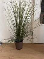 FEJKA kunstplant, Ophalen of Verzenden, Zo goed als nieuw