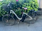 Elektronische fiets Flyer, Ophalen of Verzenden, Zo goed als nieuw