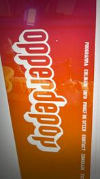 2 tickets voor volwassenen en 2 tickets kinderen, Tickets en Kaartjes, Drie personen of meer