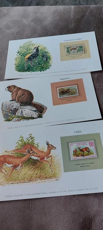 52 postzegels "Dieren van de gehele wereld" beschikbaar voor biedingen