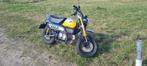 Honda monkey 125 cc geel, Motoren, Particulier, 125 cc, Toermotor, 11 kW of minder