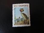 Postzegel Vogel: Fuut uit Albanië, Ophalen of Verzenden, Gestempeld, Dier of Natuur