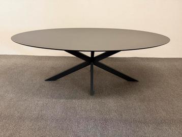 Ovale eetafel HPL antraciet 220x120 beschikbaar voor biedingen