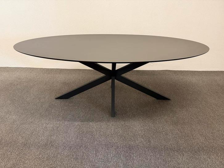 Ovale eetafel HPL antraciet 220x120, Huis en Inrichting, Tafels | Eettafels, Zo goed als nieuw, 100 tot 150 cm, 200 cm of meer