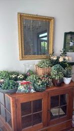 Grote partij kunstplanten en bloemen., Huis en Inrichting, Woonaccessoires | Kunstplanten en Kunstbloemen, Ophalen