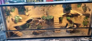 Terrarium 100x40x40 beschikbaar voor biedingen