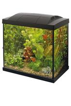Aquarium gevuld, Ophalen of Verzenden, Zo goed als nieuw