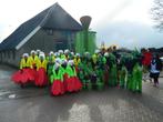 loopgroep carnaval, Kleding | Dames, Ophalen of Verzenden, Gedragen, Maat 46/48 (XL) of groter, Carnaval