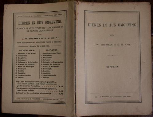 Schoolplaat boekje – Reptilien, Antiek en Kunst, Antiek | Schoolplaten, Natuur en Biologie, Ophalen of Verzenden