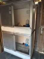 Duivenkweekhok/ aluminium, Dieren en Toebehoren, Meerdere dieren, Postduif