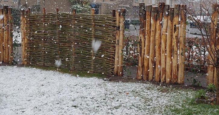 Wilgentenen voor natuurlijke schutting terras oprit tuin, Tuin en Terras, Schuttingen, Nieuw, Hout, 3 tot 6 meter, Ophalen of Verzenden