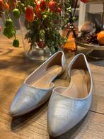 Elegante zilverkleurige ballerina's maat 38 (valt klein), Ophalen of Verzenden, Zo goed als nieuw, Grijs, Ballerina's