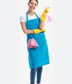 Schoonmaakster regio Utrecht en Laren, Overige niveaus, Vanaf 10 jaar, Overige vormen