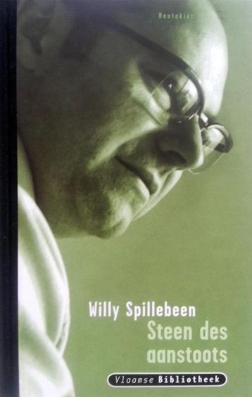 Willy Spillebeen - Steen des aanstoots  beschikbaar voor biedingen