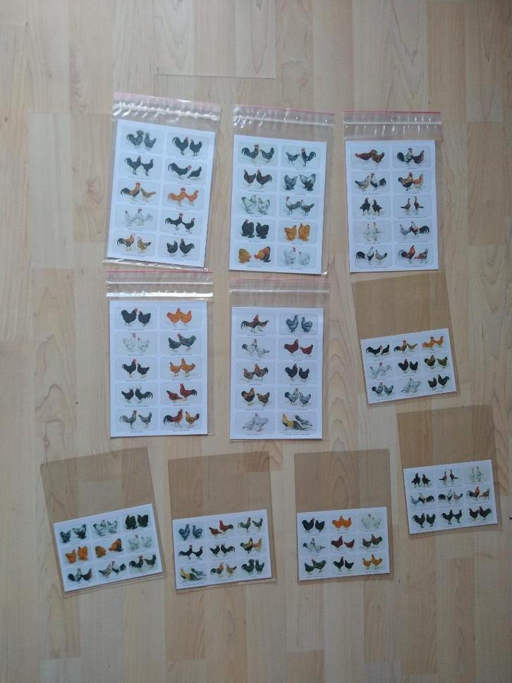 set Fancy Fowl Cards. Reproduced from 1920's Cigarette Car, Verzamelen, Ansichtkaarten | Dieren, 1920 tot 1940, Paard, Ophalen of Verzenden