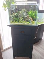 Aquascape aquarium 55 liter inclusief. filter metverwarming, Ophalen of Verzenden, Zo goed als nieuw, Leeg aquarium